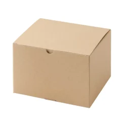 Outlet Muji Caja regalo 210x180x125 mm