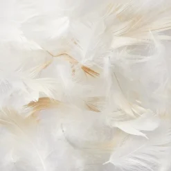 Sale Muji Cojín de plumas 43 x 43 cm